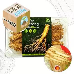 [하프클럽/기타]4-5년근 고려 인삼 생 수삼 5호 가정용 600g