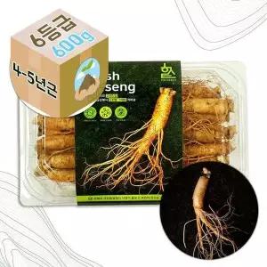 [하프클럽/기타]고려 생 인삼 수삼 4-5년근 6호 가정용 600g