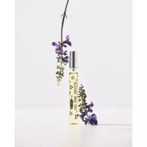 LEPLEINETE 목포 실버 베이182 EDT 10ml 2460707