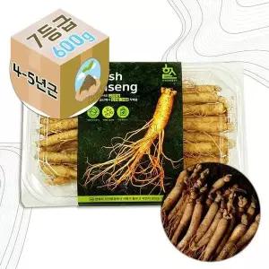 [하프클럽/기타]고려 생 인삼 4-5년근 수삼 7호 요리용 600g