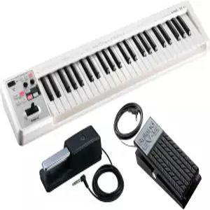 Roland/A-49 WH 댐퍼 페달 DP-10 익스프레션 EV-5 세트 49키 MIDI 키보드 A49