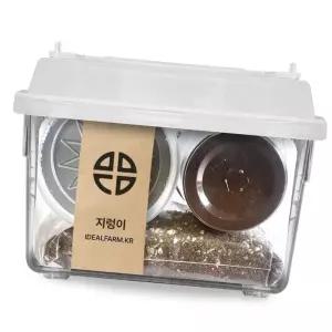 (다올)지렁이 관찰 키트 - 초등과학 자연과학 땅속생물 교과서 분변토