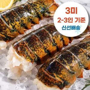 캐나다산 랍스터테일 꼬리 3미