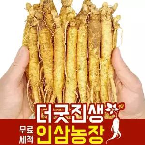 금산인삼 수삼 세척 4~6년근 원수삼 600g 24~32뿌리
