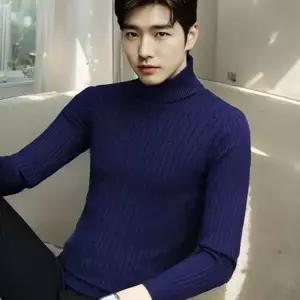 남성 케이블니트 기본 데일리 겨울 꽈배기 니트 이너 목폴라 터틀넥