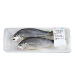 [해동][중국산] 반건조 부세조기 (중, 마리)