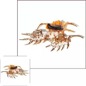 뮤 조개 수조장식품 온도계 수초 폐각 바닥재 부화산란통 여과부품 1개 용 자연품