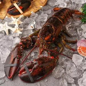 [자연맛남] 수율보장 항공직송 활랍스터 600g내외 1마리
