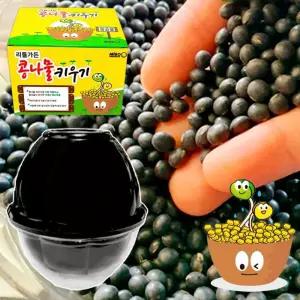 콩나물키우기 키트 재배기 가정용콩나물 국내산/콩나물/시루세트/가정용/새싹재배기/책상위에/키우기/초간
