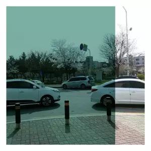 데코사랑 창문시트지 윈도우 쏠라필름 그린 1028666