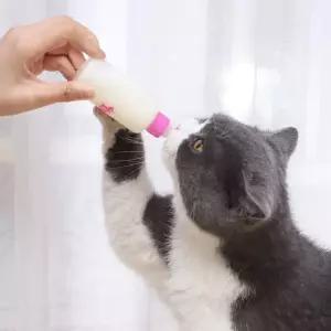 애완동물 젖병 세트 60ml 신생아 강아지 고양이 분유 수유 젖꼭지 포함