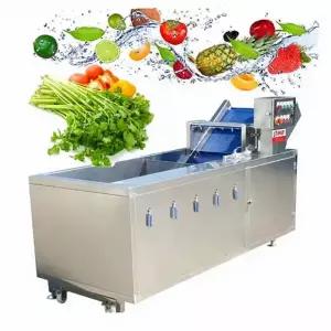 밤 까는 기계 탈피기  자동 고구마 양파 토마토 세척기 레몬 땅콩 망고 딸기 과일 야채 에어 버블