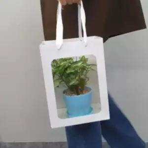 20x30 직사각 선물 투명창 종이가방 쇼핑백 선물용 종이가방 무지 윈도우 바닥넓은화분 꽃 화분 투명창봉투