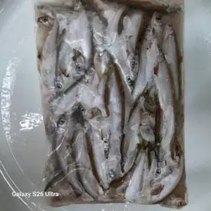 국산 피라미 냉동 1kg