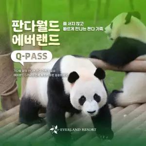 [용인] 에버랜드 Q-PASS: 판다월드 (~10/31)