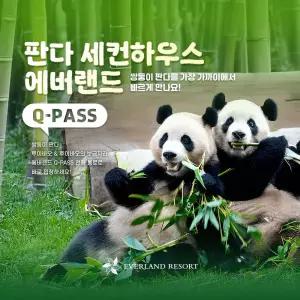[용인] 에버랜드 Q-PASS: 판다 세컨하우스 (~10/31)