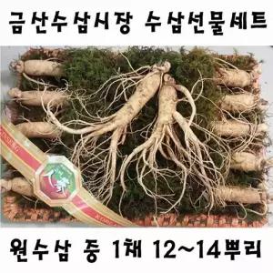 [금산수삼시장] 원수삼 중 1채 12~14뿌리 선물세트750g