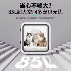 에어링 초고속 건조 펫드라이룸 강아지드라이룸 강아지 털말리는기계 중형견 가열 장치 펫케어