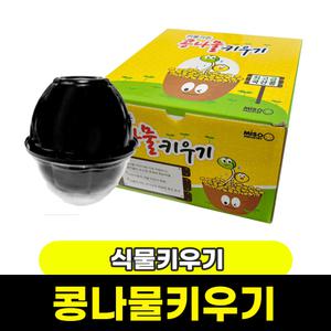 [문구와팬시] 미소 리틀가든 콩나물 키우기