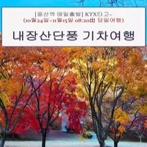 [KTX_용산역 또는 수서역] 오색단풍 내장산 기차여행(10/24-11/15 08:20 또는 08:30 당일)