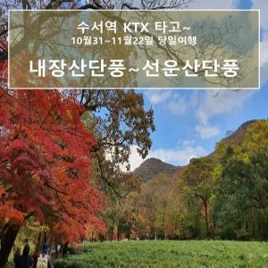 [KTX 수서역] 선운사단풍~내장산단풍 당일기차여행(10/31-11/22 08:30 정읍역)