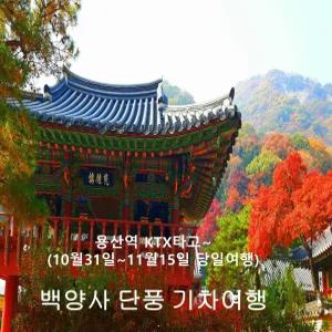 [KTX_용산역/수서역] 백양사 애기단풍 기차여행 (10/31~11/15 당일)