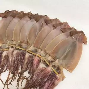 구룡포 반건조 오징어 5미 250g 미니 원양산오징어 해풍 포항오징어 구룡포오징어 덜 마른 오징어