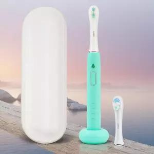 식스비 감성 제주 음파전동칫솔 1개 비자림숲