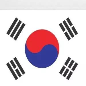 게양용 태극기 120x180cm 기타장식용품 응원용품 월드컵 국기 KWFFYXV6