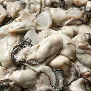 통영 생굴 제철 세척 싱싱한 깐굴 1kg 4팩