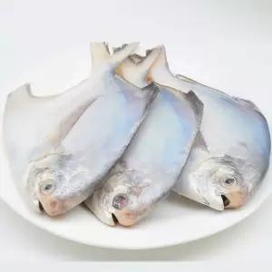 국내산 여수 병어 대형 10마리 2kg 내외