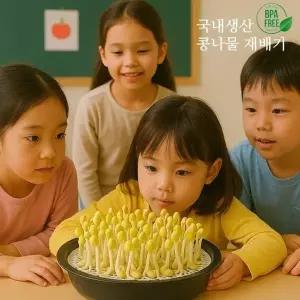 콩나물재배기 콩나물 재배 시루 채소 칼라박스 기르기 식물 학습