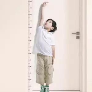 키측정 스티커 눈금자 시트지 200cm 아이 신장계 키재기