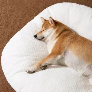 강아지 고양이 방석 무중력 꿀잠 쿠션 극세사 물세척 분리형 커버
