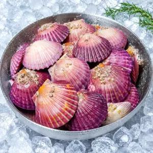 국내산 제철 통영 홍가리비 5kg