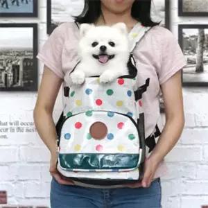 강아지 앞가방 고양이 슬링백 백팩 산책 외출  미디움