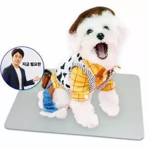 지금 필요한 방석 사각 쿨매트 중형 반려동물 여름 알루미늄 1P