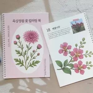어른 시니어 색칠 공부 꽃 컬러링북 취미 미술 드로잉