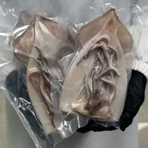포항 구룡포 손질 오징어 특대 400-450g 2미