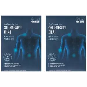 에이스바이옴 아나파랙틴 패치 48매입 혼합형 2개 -DL-