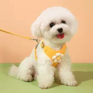 꽃무늬 리드줄 소형견 산책 가슴걸이 밴딩 어깨 배 고정 조절 탈부착