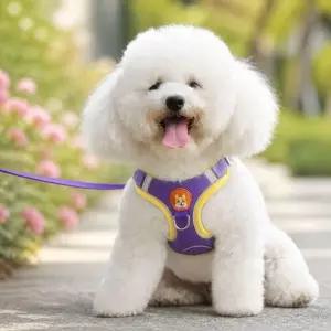 반려견 하네스 꼼꼼한 소형견 푸들 산책 가슴줄 3컬러 조끼형 리드줄