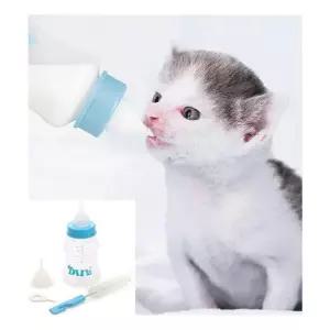 애완동물 젖병 세트 이무 강아지 고양이 반 물병 접병