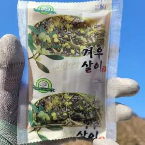 [산드리약초] 겨우살이즙 100ml 60포