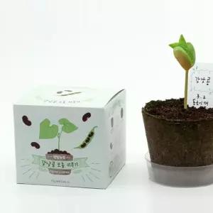 강낭콩 키우기 지피포트 학습관찰세트