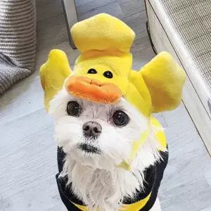 하노샵 반려동물 귀여운 모자 애완오리 디자인 강아지생일선물 애견모자