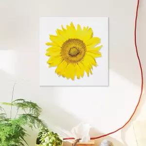돈 들어오는 노랑 해바라기 캔버스액자 35x35cm 벽걸이 인테리어 소품 그림 디자인 프레임