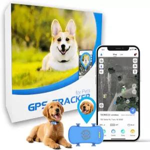 반려견용 GPS 트래커 지오펜스 및 조명이 있는 실시간 플래시 청각 경보 Anti 로스트 노 거리 제한 칼라