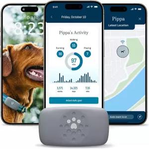 퓨리나로 구동되는 반려견을 위한 페티비티 스마트 GPS 및 액티비티 펫 트래커 방수 실시간 추적 목걸이