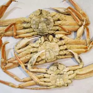 러시아 박달대게 선물세트 3kg